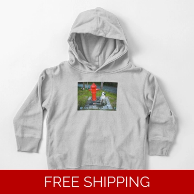 Le Studio Toddler Pullover Hoodie Rush Signals Monument